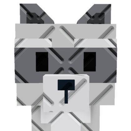 Big Raccoon