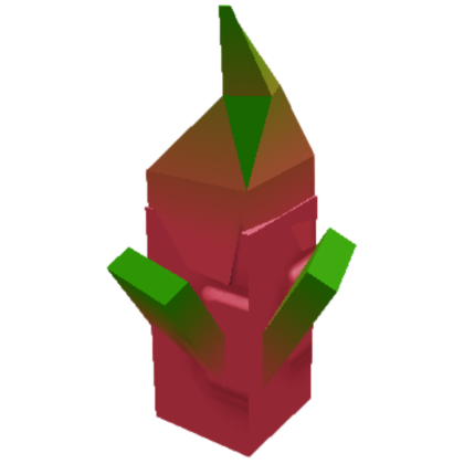 Dragon Fruit seed