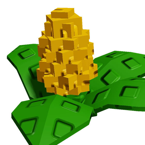 Corn
