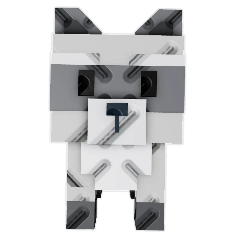 Raccoon